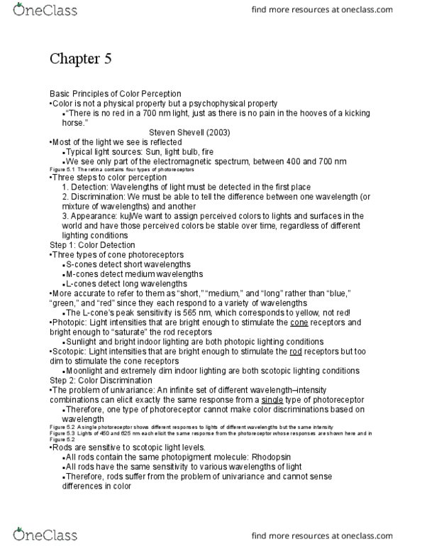 PSYC 4365 Lecture Notes - Lecture 15: Scotopic Vision, Photopic Vision, Color Vision thumbnail