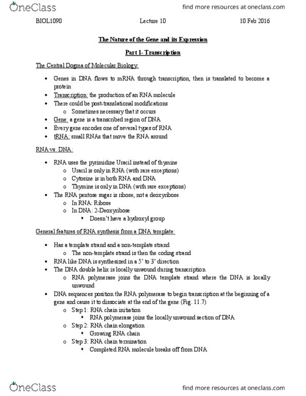 BIOL 1090 Lecture Notes - Lecture 10: Deoxyribose, Cytosine, Pyrimidine thumbnail