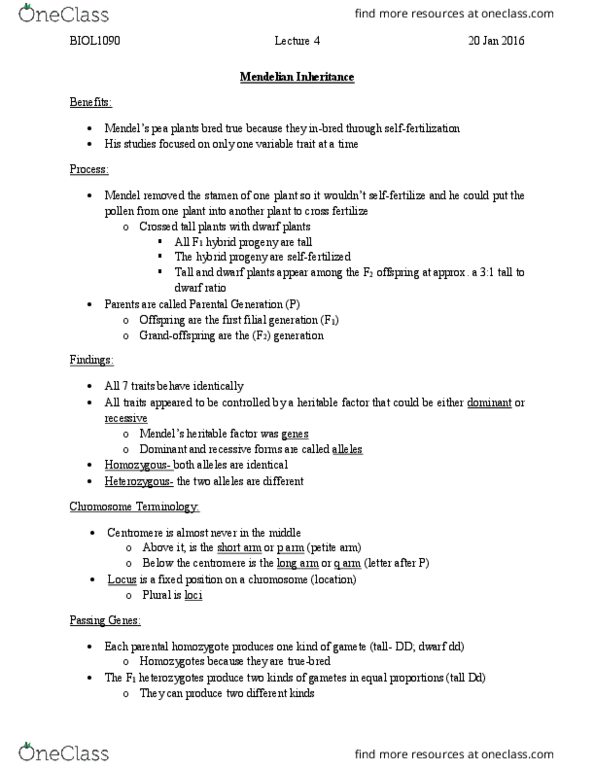 BIOL 1090 Lecture Notes - Lecture 4: Stamen, Inbreeding, Centromere thumbnail