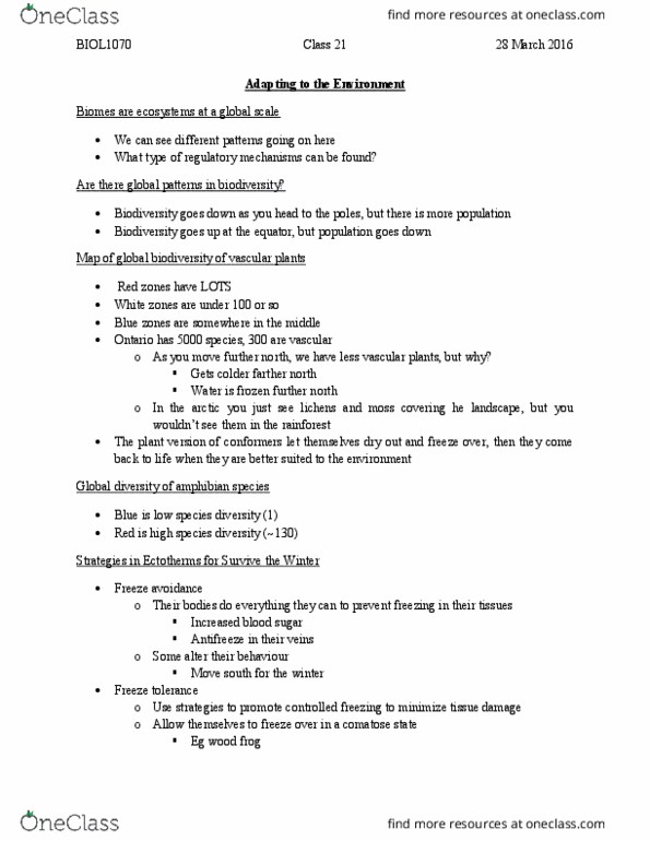 BIOL 1070 Lecture Notes - Lecture 21: Ground Squirrel, Torpor, Aestivation thumbnail