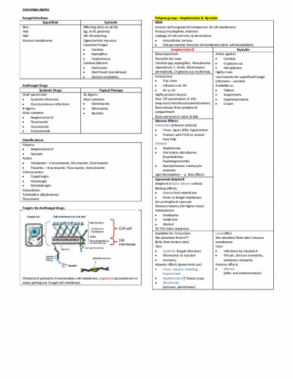 Microbiology and Immunology 3300B Chapter Notes -Cholesterol, Nystatin, Imidazole thumbnail
