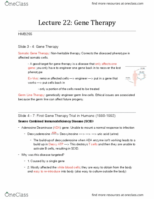 HMB265H1 Lecture Notes - Lecture 22: Deoxyadenosine, Transgene, Retrovirus thumbnail