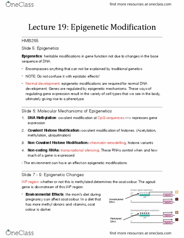HMB265H1 Lecture Notes - Lecture 19: X-Inactivation, Nature Reviews Genetics, Insulin-Like Growth Factor 2 thumbnail