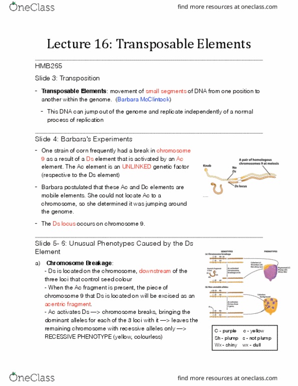 HMB265H1 Lecture Notes - Lecture 16: Transposable Element, Reverse Transcriptase, Transposase thumbnail