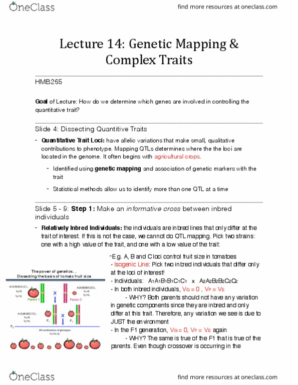 HMB265H1 Lecture Notes - Lecture 14: Quantitative Trait Locus, Inbreeding, Genetic Linkage thumbnail