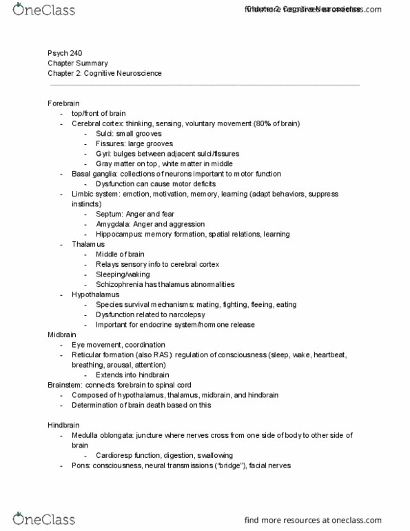 PSYCH 240 Chapter Notes - Chapter 2: Corpus Callosum, Medulla Oblongata, Cerebral Cortex thumbnail