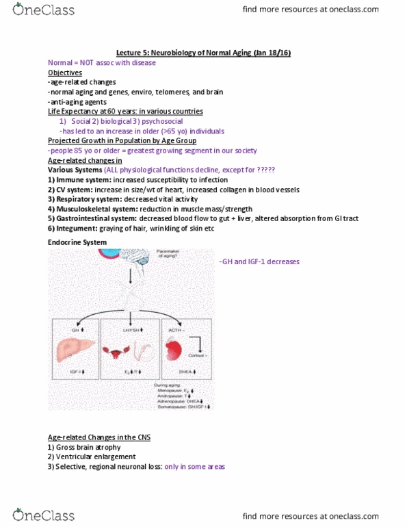 NEURO410 Lecture Notes - Lecture 5: Dauer Larva, Drosophila Melanogaster, Daf thumbnail