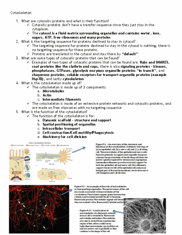 BIOB10H3 Lecture Notes - Osteoclast, Leading Edge, Phagolysosome thumbnail