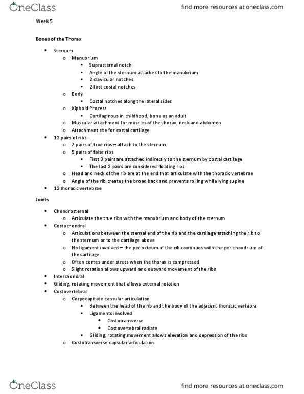 KIN 3304 Lecture Notes - Lecture 10: Suprasternal Notch, Joint Capsule, Clavicle thumbnail