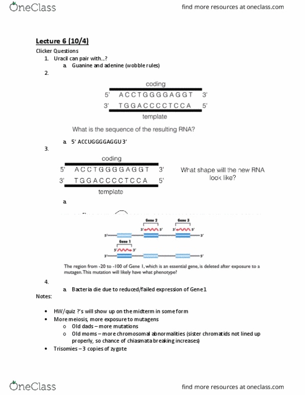BIS 101 Lecture Notes - Lecture 6: Ribosomal Rna, Sister Chromatids, Gene Conversion thumbnail
