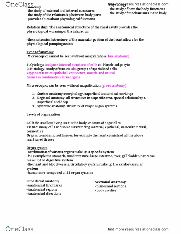 HLSC 2F95 Lecture Notes - Lecture 1: Pericardium, Pleural Cavity, Abdominopelvic Cavity thumbnail