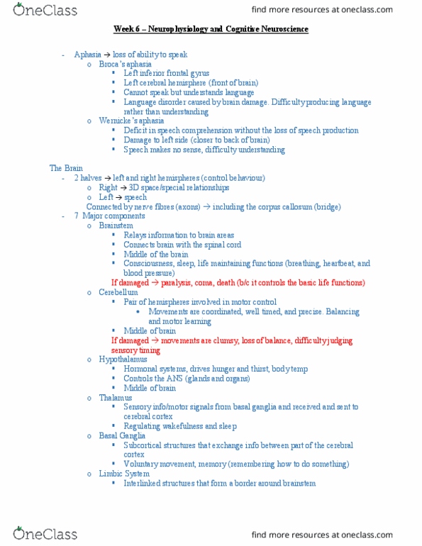 PSYC 100 Lecture Notes - Lecture 6: Inferior Frontal Gyrus, Primary Motor Cortex, Basal Ganglia thumbnail