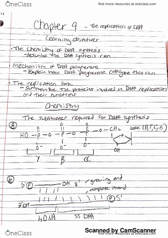 BIOCHEM 275 Lecture 11: Cho 9, The Replication of DNA thumbnail