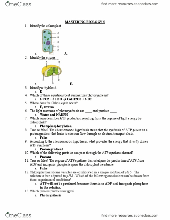 BIOL 1201 Lecture Notes - Lecture 5: Cytoplasm, Okazaki Fragments, Reading Frame thumbnail