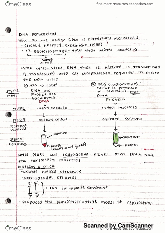 BIO-0013 Lecture 10: DNA Replication thumbnail