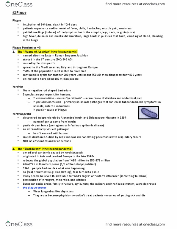 Microbiology and Immunology 2500A/B Lecture 2: McCormick Bacteriology Lecture 2 Plague thumbnail