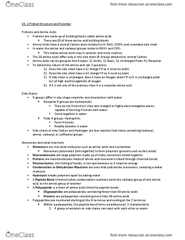 BIOL 118 Lecture Notes - Lecture 3: Beta Sheet, Tata Box, Protein Folding thumbnail