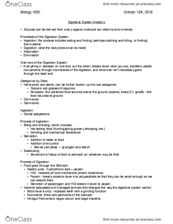 BIOL 1050 Lecture Notes - Lecture 13: Rumen, Organic Compound, Hindgut thumbnail