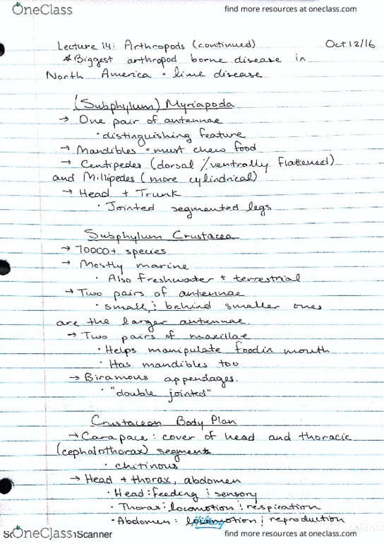 BIOL 2003 Lecture 14: Arthropods (continued) thumbnail