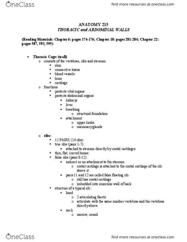 ANAT 215 Lecture Notes - Lecture 20: Aorta, Abdominal Cavity, Abdomen thumbnail