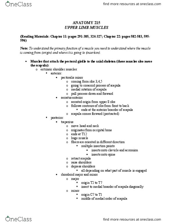 ANAT 215 Lecture Notes - Lecture 22: Flexor Carpi Radialis Muscle, Brachial Plexus, Epicondyle thumbnail