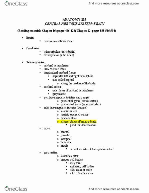 ANAT 215 Lecture Notes - Lecture 6: Cerebellar Vermis, Dural Venous Sinuses, Posterior Cerebral Artery thumbnail