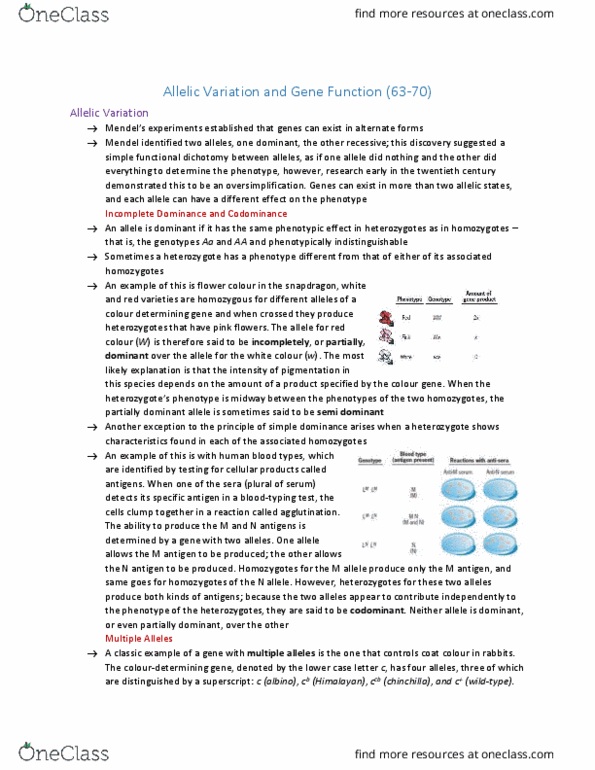 BIOL 1090 Chapter Notes - Chapter p 63-70: Cinnabar, Peptide, Chinchilla thumbnail