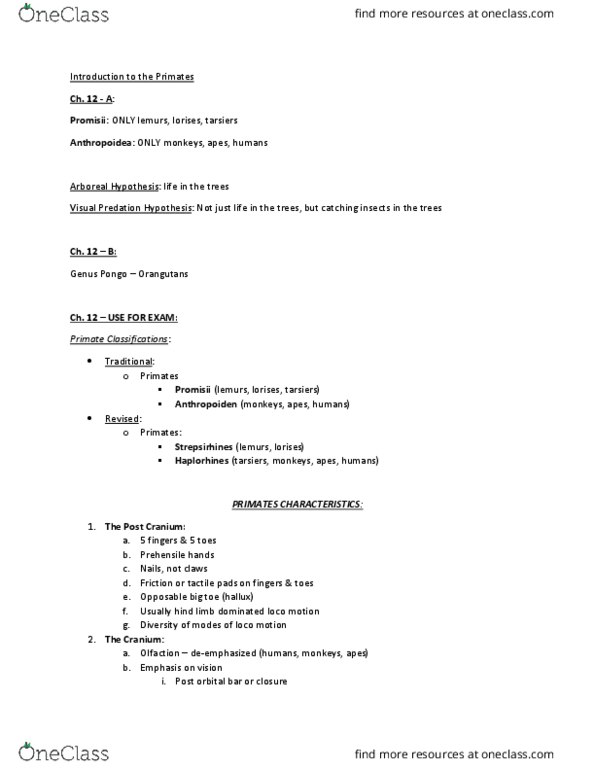 ANTH 196 Lecture Notes - Lecture 6: Frugivore, Dentition, Folivore thumbnail