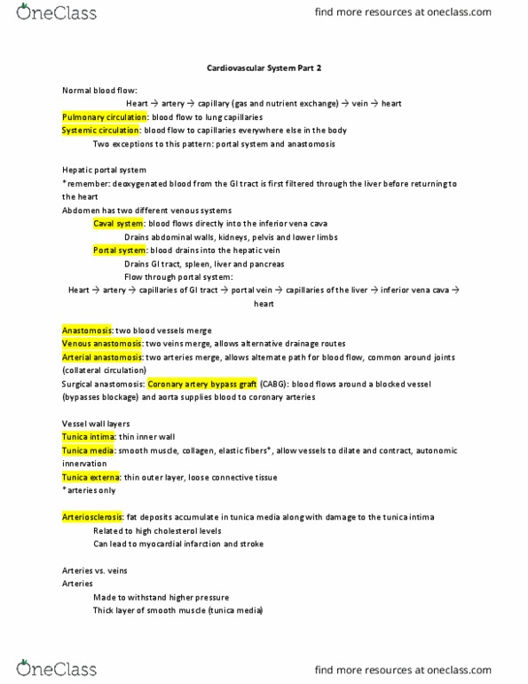 BIOL 129 Lecture Notes - Lecture 12: Pulmonary Artery, Umbilical Vein, Fetus thumbnail