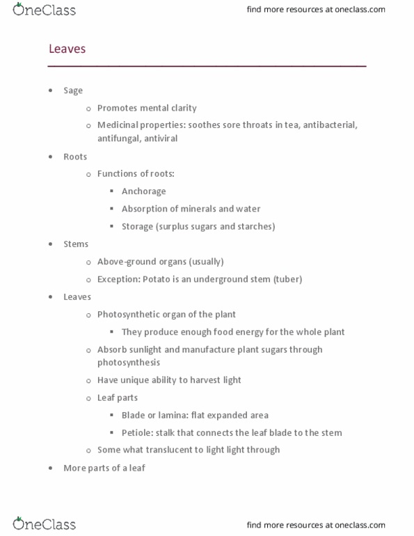 STOCKSCH 100 Lecture Notes - Lecture 13: Stoma, Xylem, Phloem thumbnail