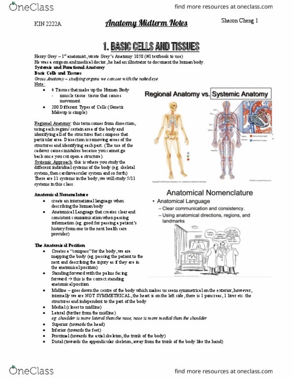 Kinesiology 2222A/B Midterm: 2222A_Anatomy Midterm - OneClass