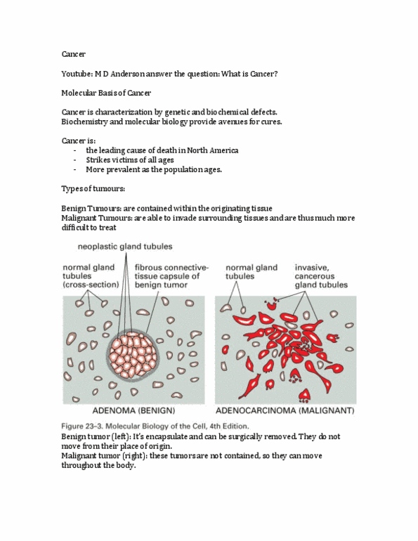 Biochemistry 2280A Lecture Notes - Colorectal Cancer, Protein Kinase, Gene Duplication thumbnail