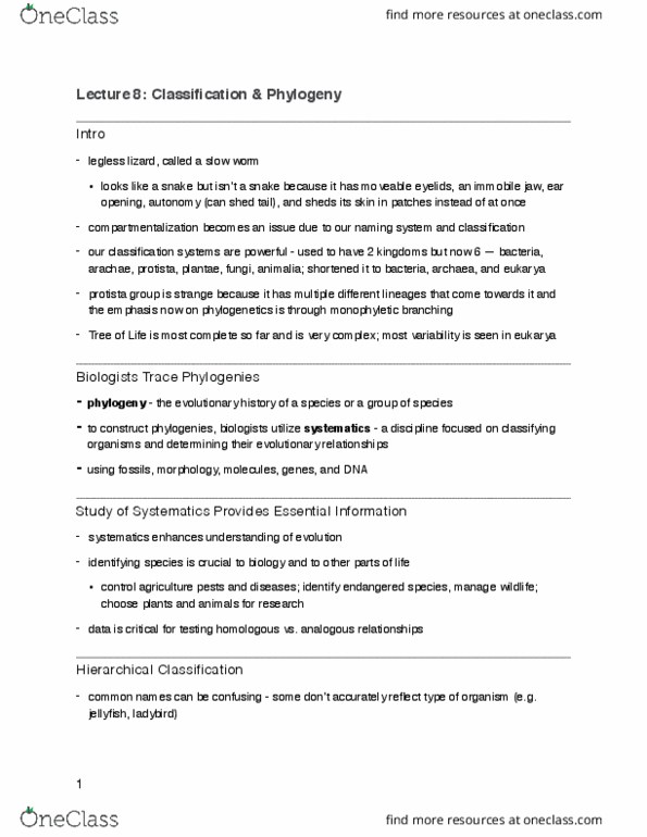 BIOA01H3 Lecture Notes - Lecture 8: Skeleton, Paleontology, Cladistics thumbnail