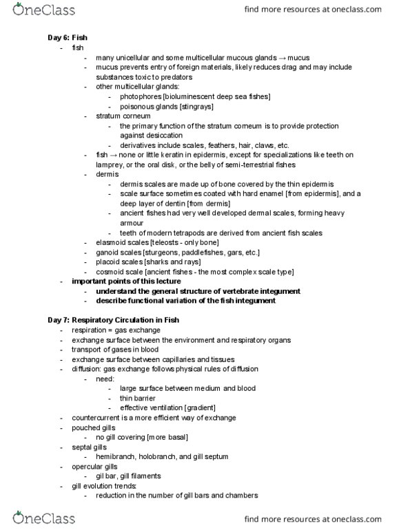 ZOO 2090 Lecture Notes - Lecture 7: Actinopterygii, Aorta, Sarcopterygii thumbnail