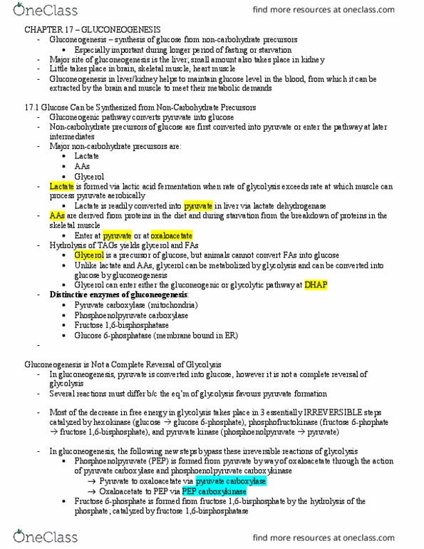 KIN217 Chapter Notes - Chapter 17: Cyclic Adenosine Monophosphate, Cardiac Muscle, Insulin thumbnail