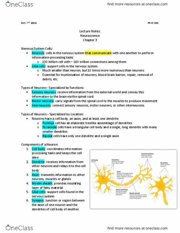 PSYC 101 Lecture Notes - Lecture 3: Purkinje Cell, Neuromodulation, Electrical Resistivity And Conductivity thumbnail