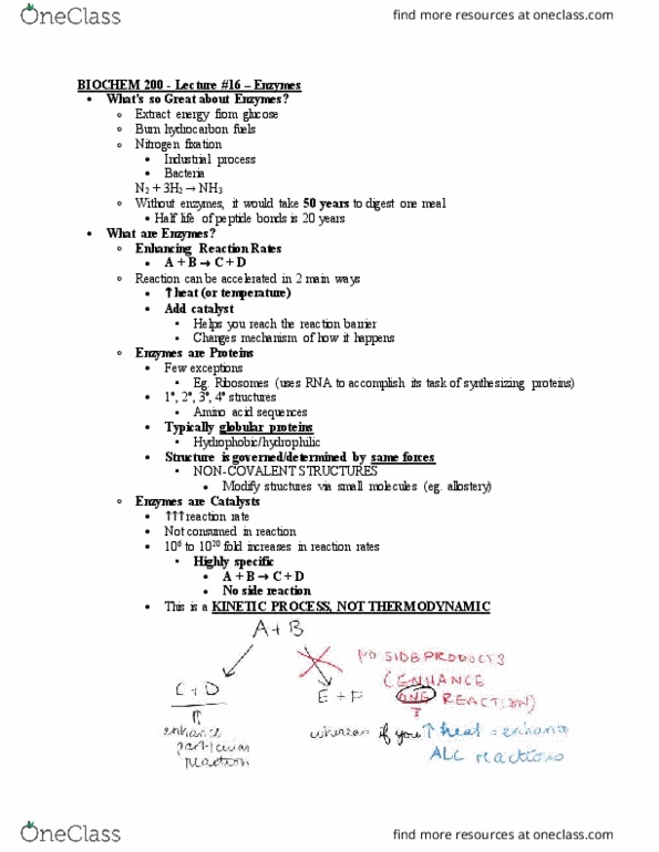 BIOCH200 Lecture Notes - Lecture 16: Thermodynamics, Nitrogen Fixation, Chemical Reaction thumbnail