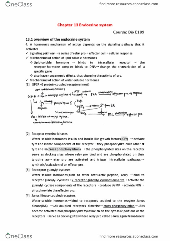 BIO SCI E109 Chapter 13: E109 13.1 hormone's mechanism thumbnail