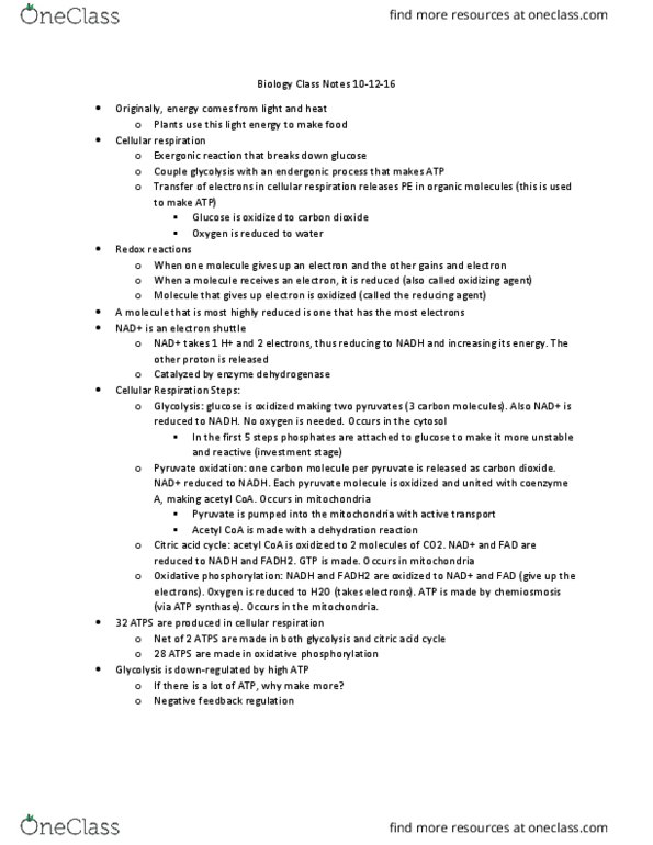 BIO 311C Lecture Notes - Lecture 20: Endergonic Reaction, Exergonic Reaction, Chemiosmosis thumbnail