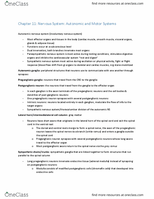 KP222 Lecture Notes - Lecture 11: Vagus Nerve, Grey Matter, Nicotinic Acetylcholine Receptor thumbnail