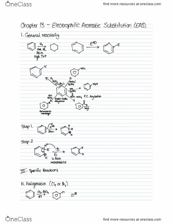 CHEM263 Lecture Notes - Lecture 3: Benzoyl Group, Chch-Dt, Alkylation thumbnail