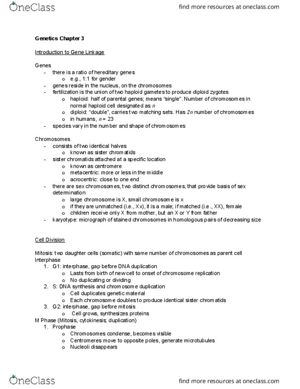 HMB265H1 Lecture Notes - Lecture 7: Cytoplasm, Gamete, Chromatin thumbnail