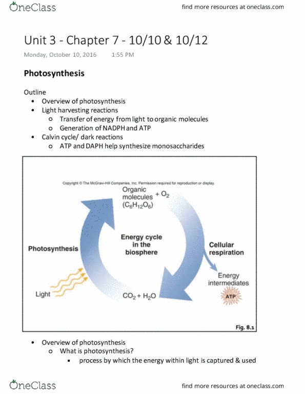 BIOL 2051 Lecture Notes - Lecture 8: Plastoquinone, Autocrine Signalling, Cytosol thumbnail