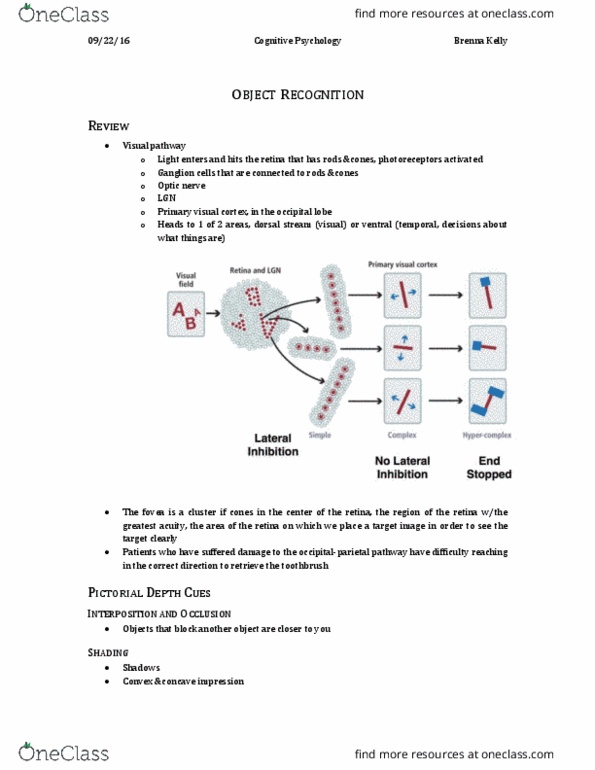 Psychology 2135A/B Lecture Notes - Lecture 5: Stereopsis, Optic Nerve, Facial Recognition System thumbnail