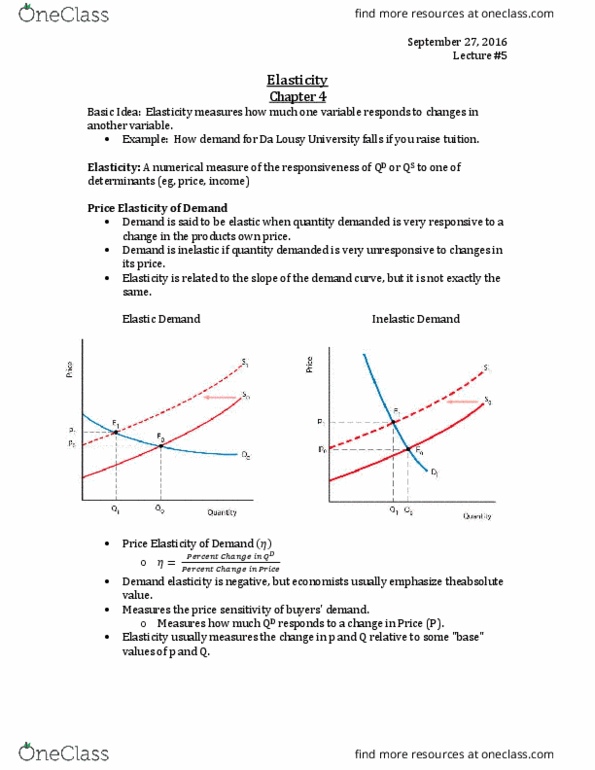 ECON 110 Lecture 4: Chapter 4- Elasticity thumbnail