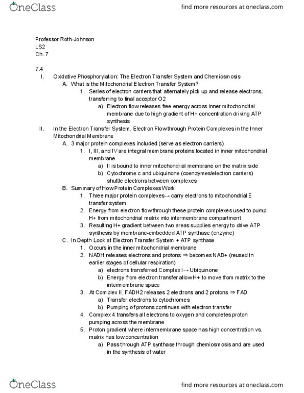 LIFESCI 2 Chapter Notes - Chapter 7.4: Coenzyme Q10, Active Transport, Nadh Dehydrogenase thumbnail