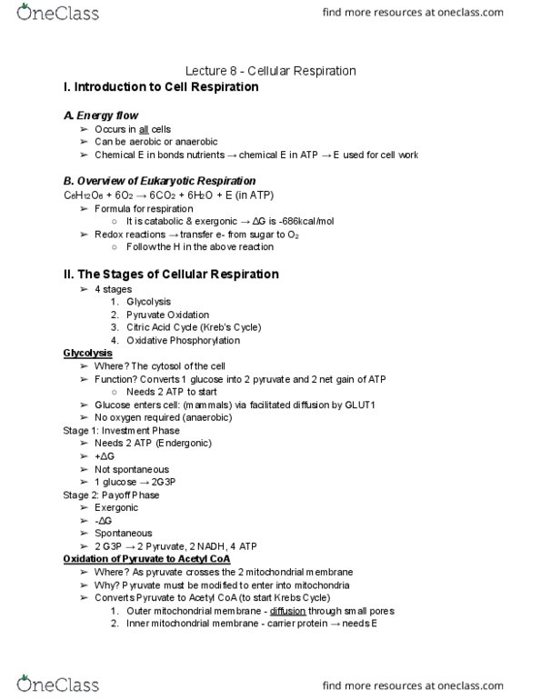 01:119:115 Lecture Notes - Lecture 8: Chemiosmosis, Glut1, Pyruvic Acid thumbnail