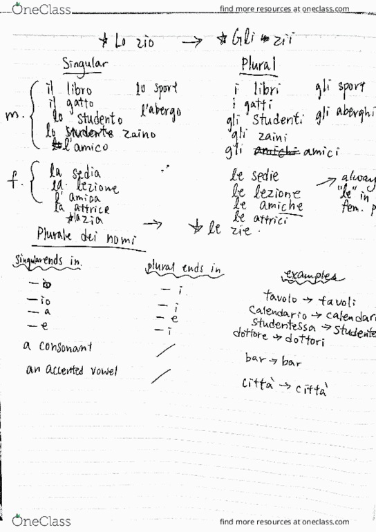 ITAL101 Lecture Notes - Lecture 3: Penne, Violin, Steak Tartare thumbnail