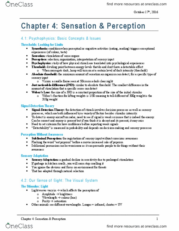 PSY100Y5 Chapter Notes - Chapter 4: Superior Colliculus, Occipital Lobe, Ponzo Illusion thumbnail