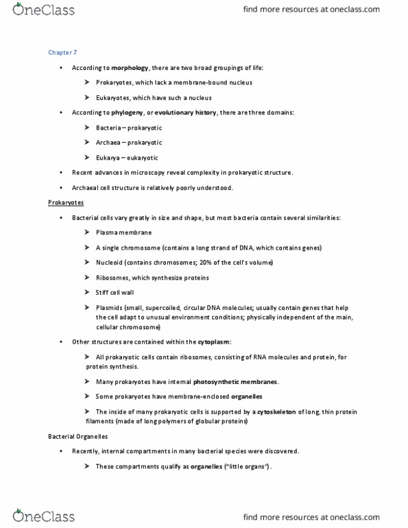 BLG 143 Chapter Notes - Chapter 7: Nucleoid, Microfilament, Endomembrane System thumbnail